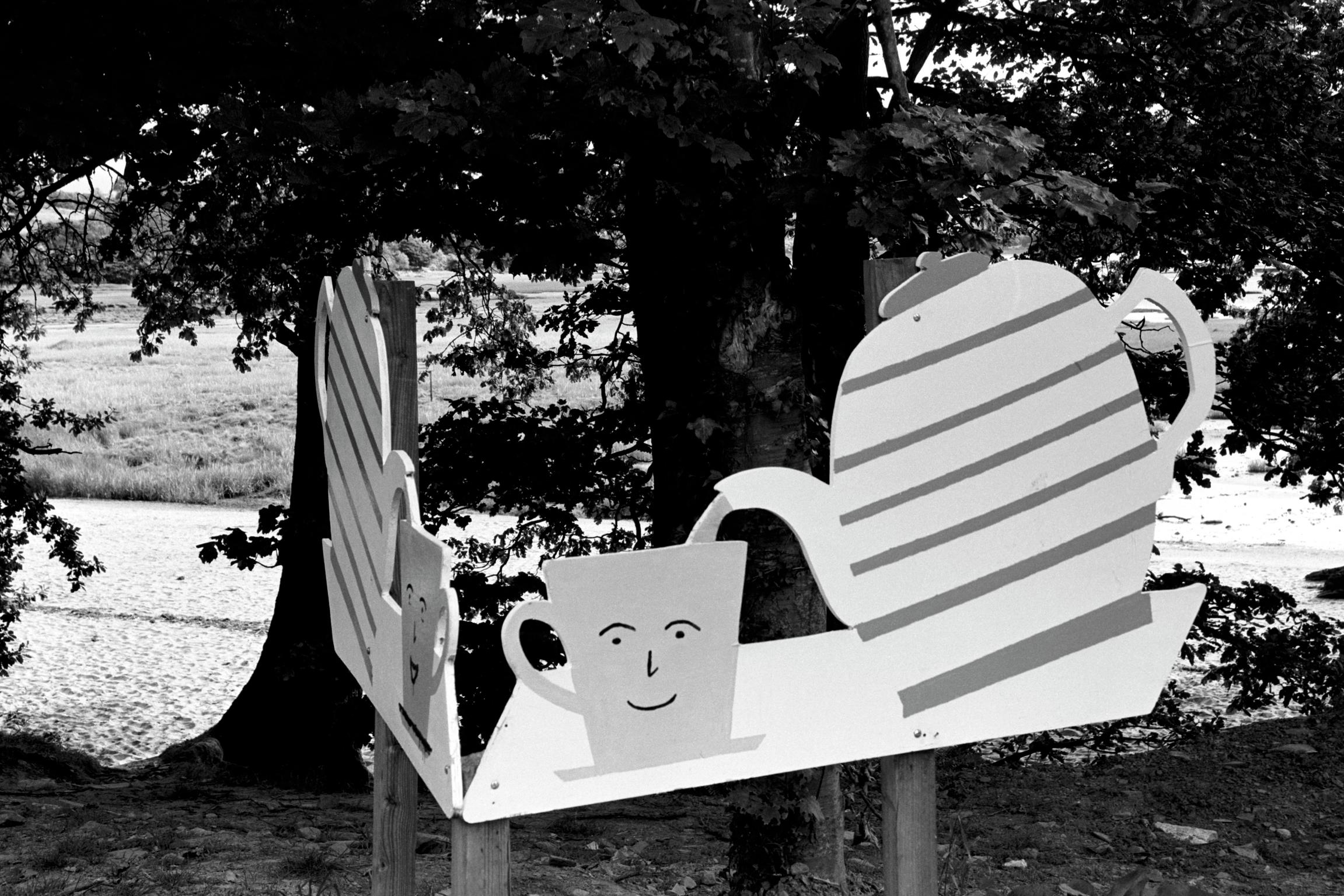 Sculptures Exposed. Transport Café sign near Dumfries. Scotland