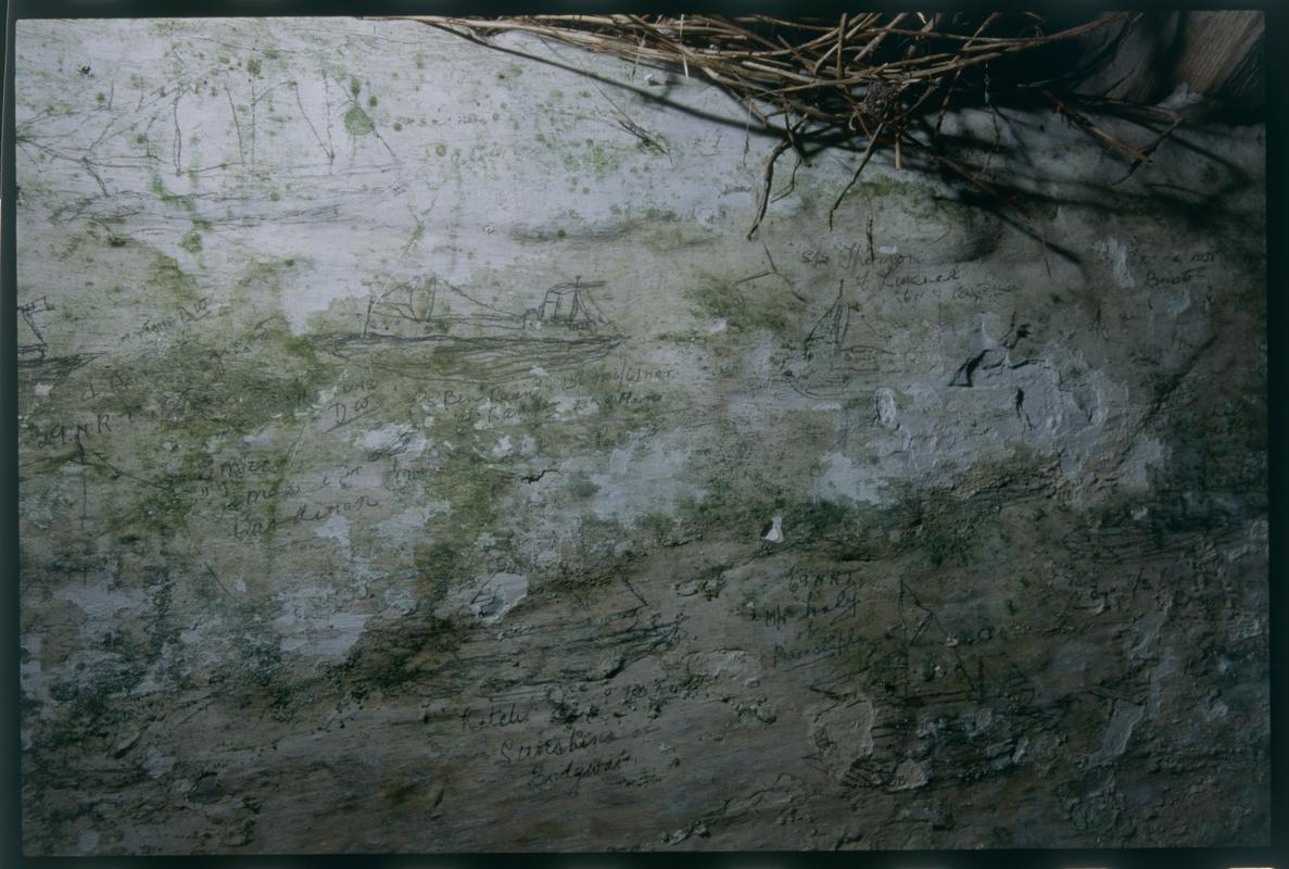 Graffitied tŷ bach in a garden in Trefin, slide