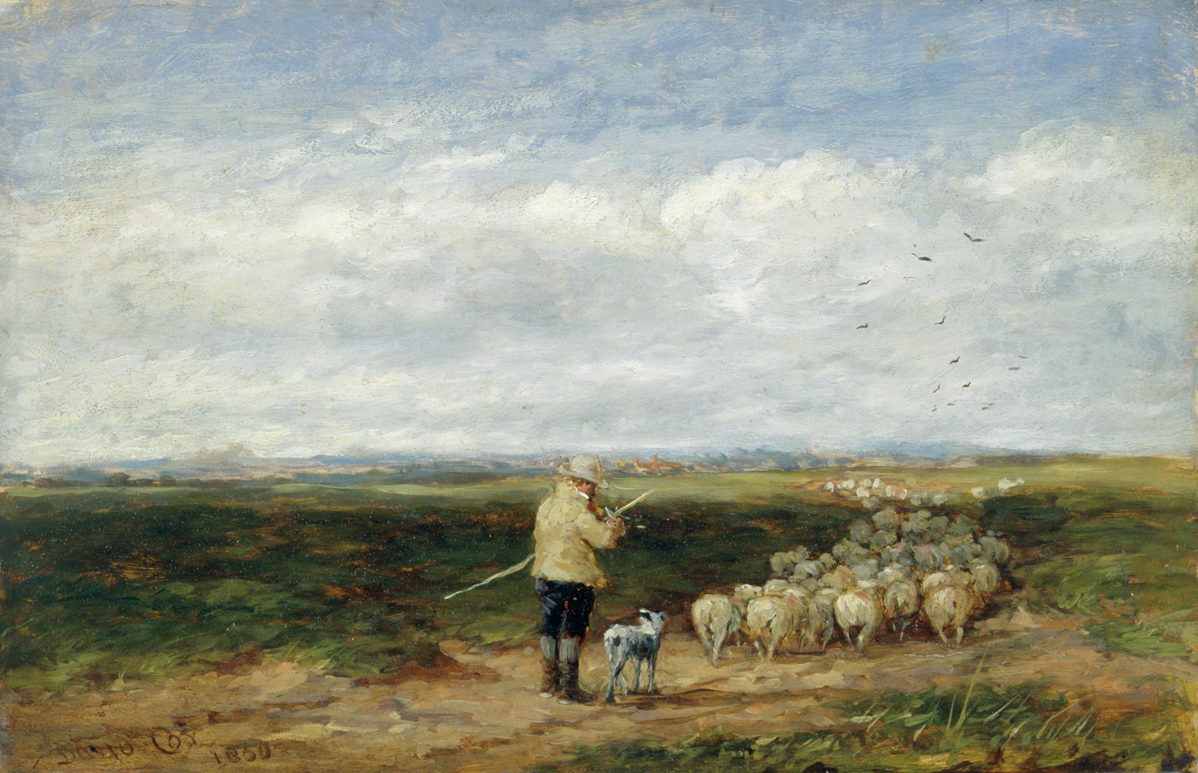 The shepherd: return of the flock