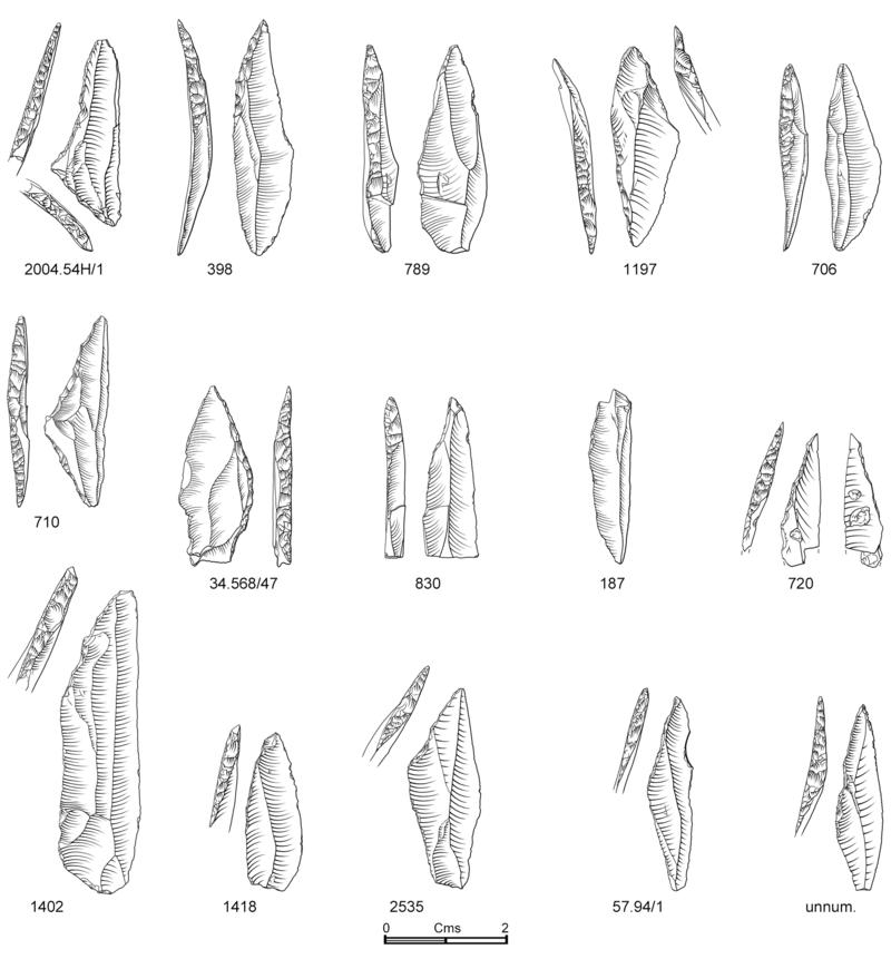 Illustration: Burry Holms early Mesolithic microliths.