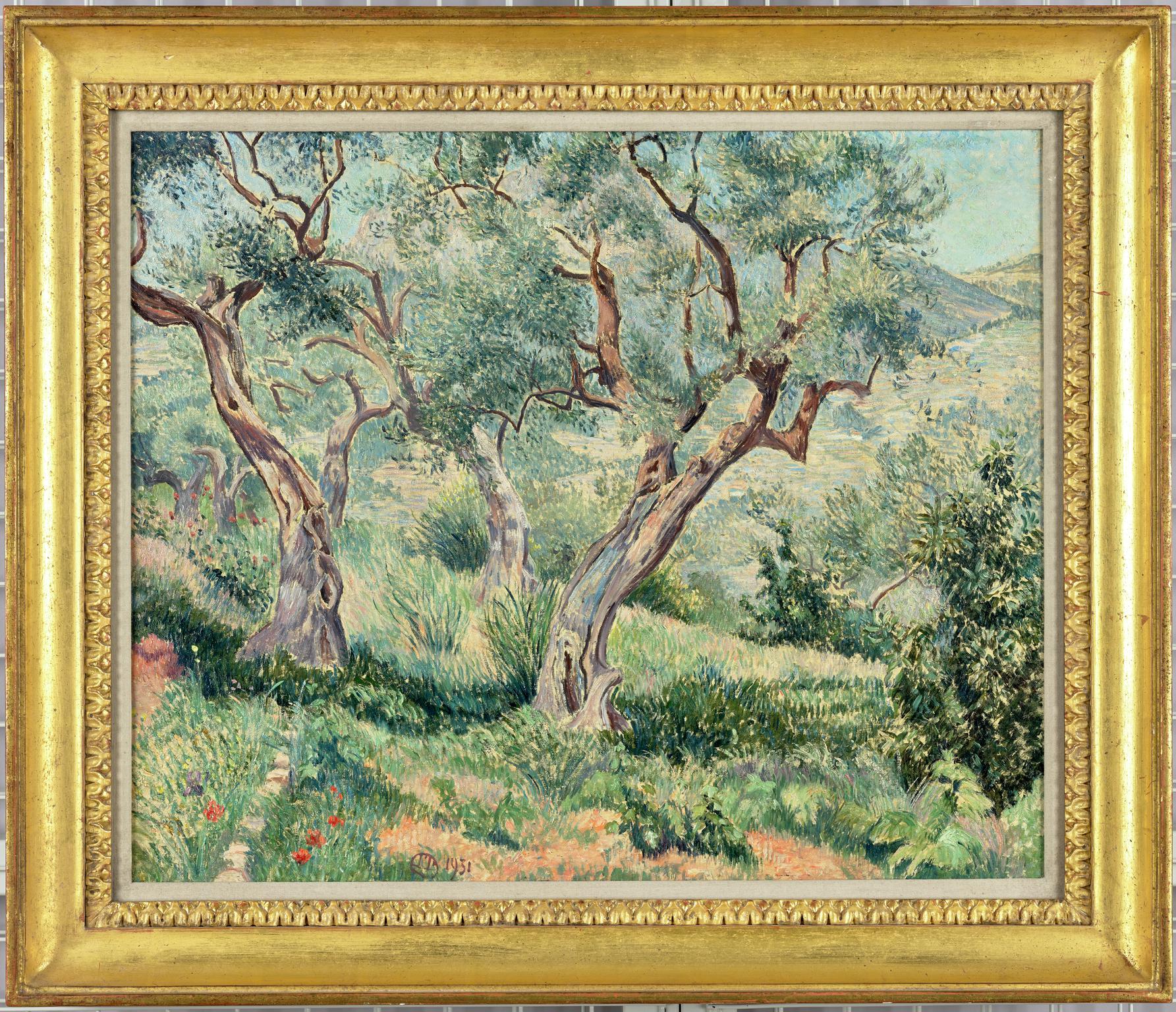 Les Oliviers du Cabanon, Toulon/ The Olive Trees by the Hut, Toulon