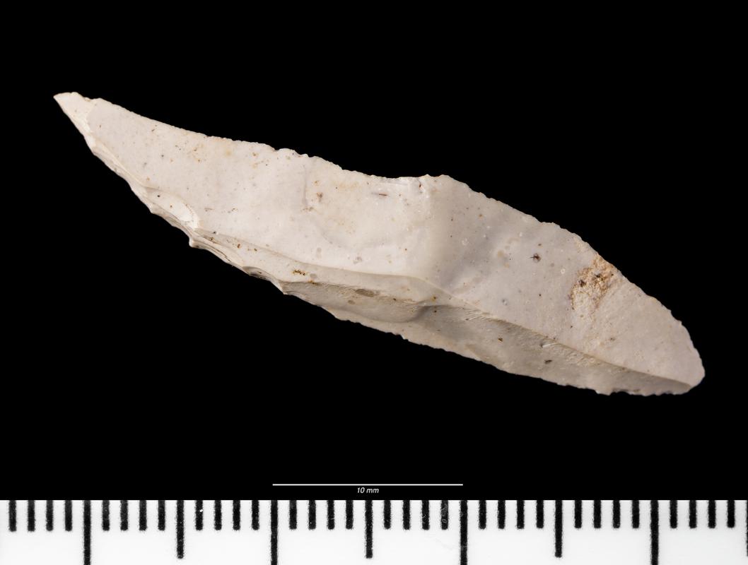 Early Mesolithic flint microlith