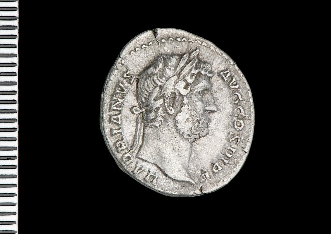 silver denarius (obv.)