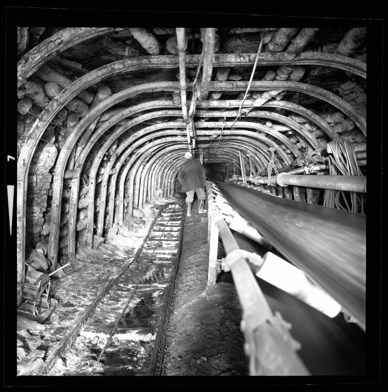 BBW porno filmlar onlayn