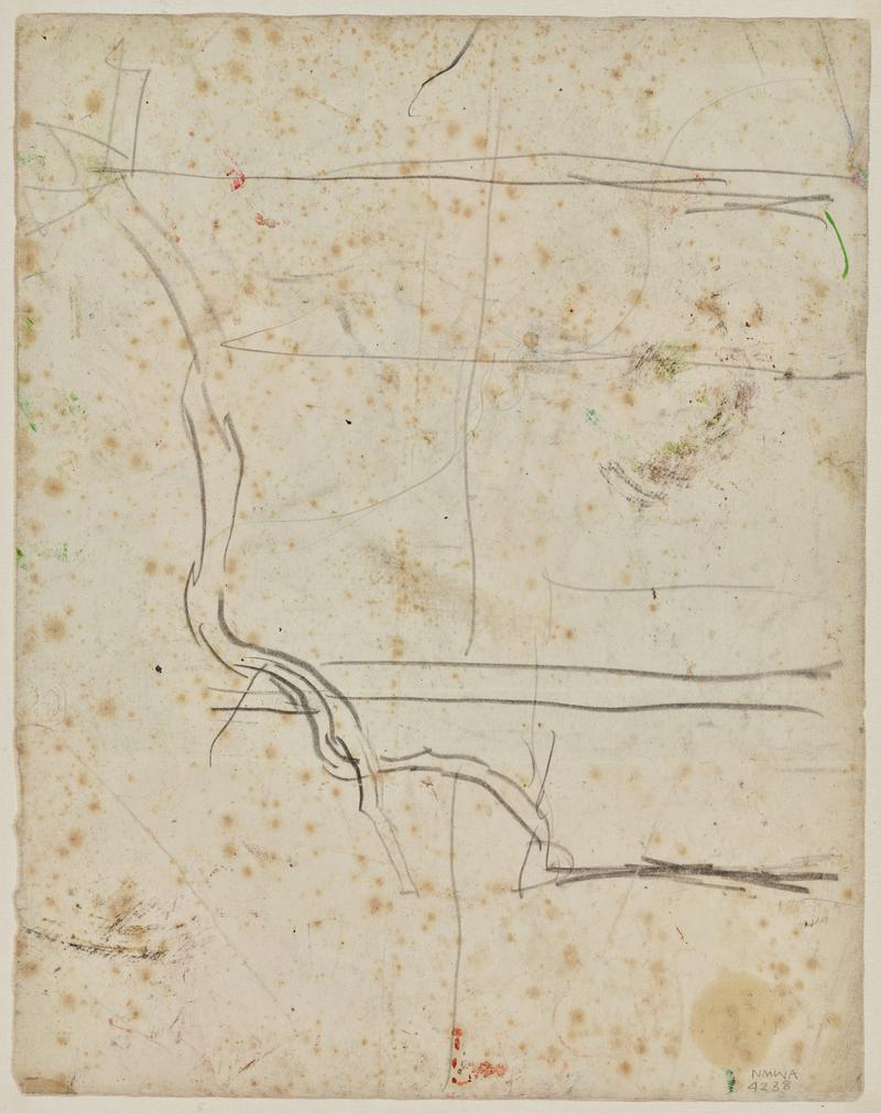 Root form study