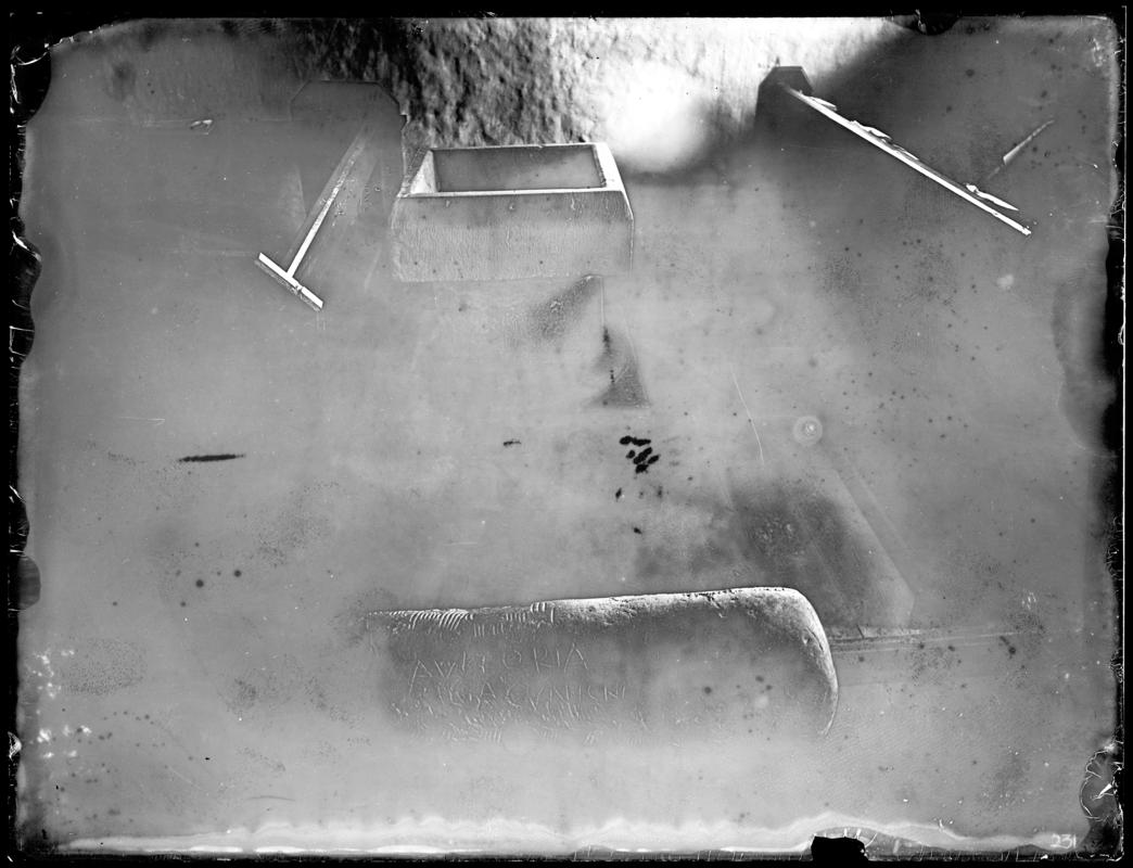 Photographic Negative