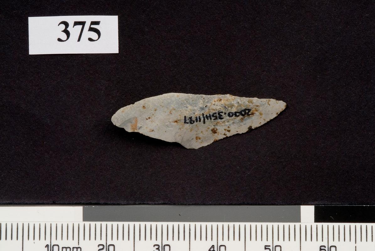 Early Mesolithic flint microlith