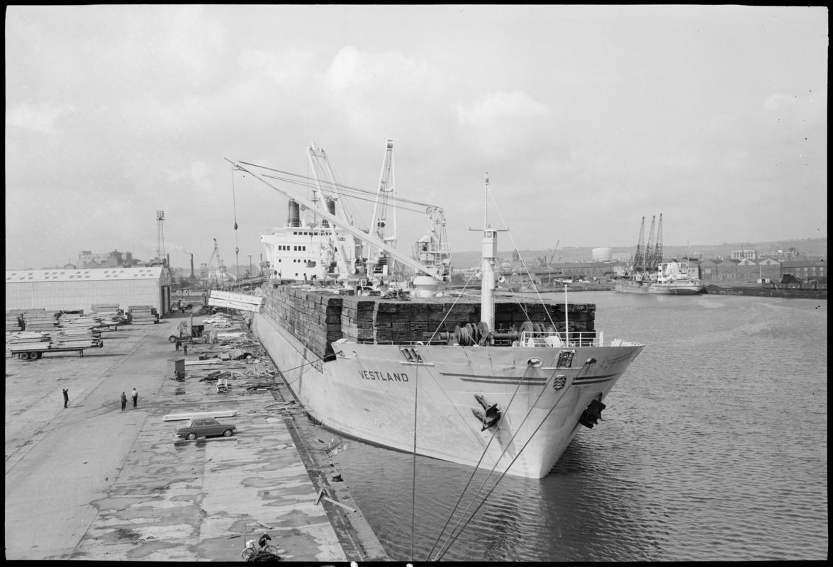 M.V. VESTLAND, negative