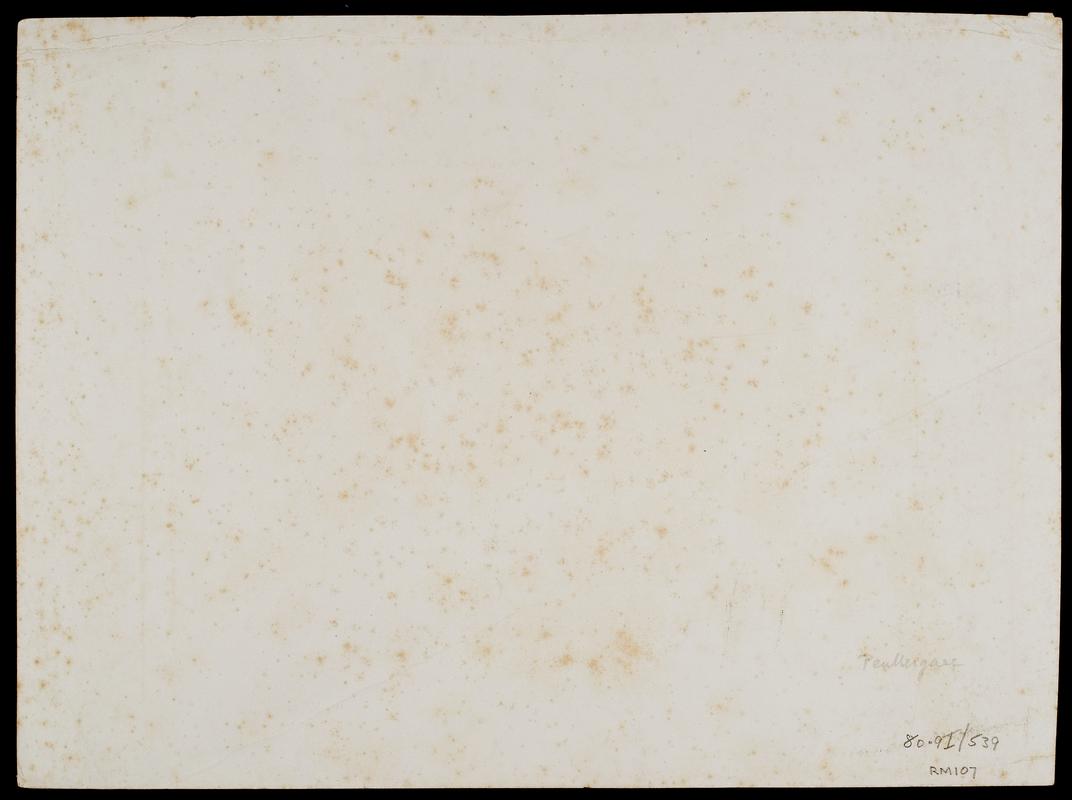 Penllergare, stream and woods, photograph