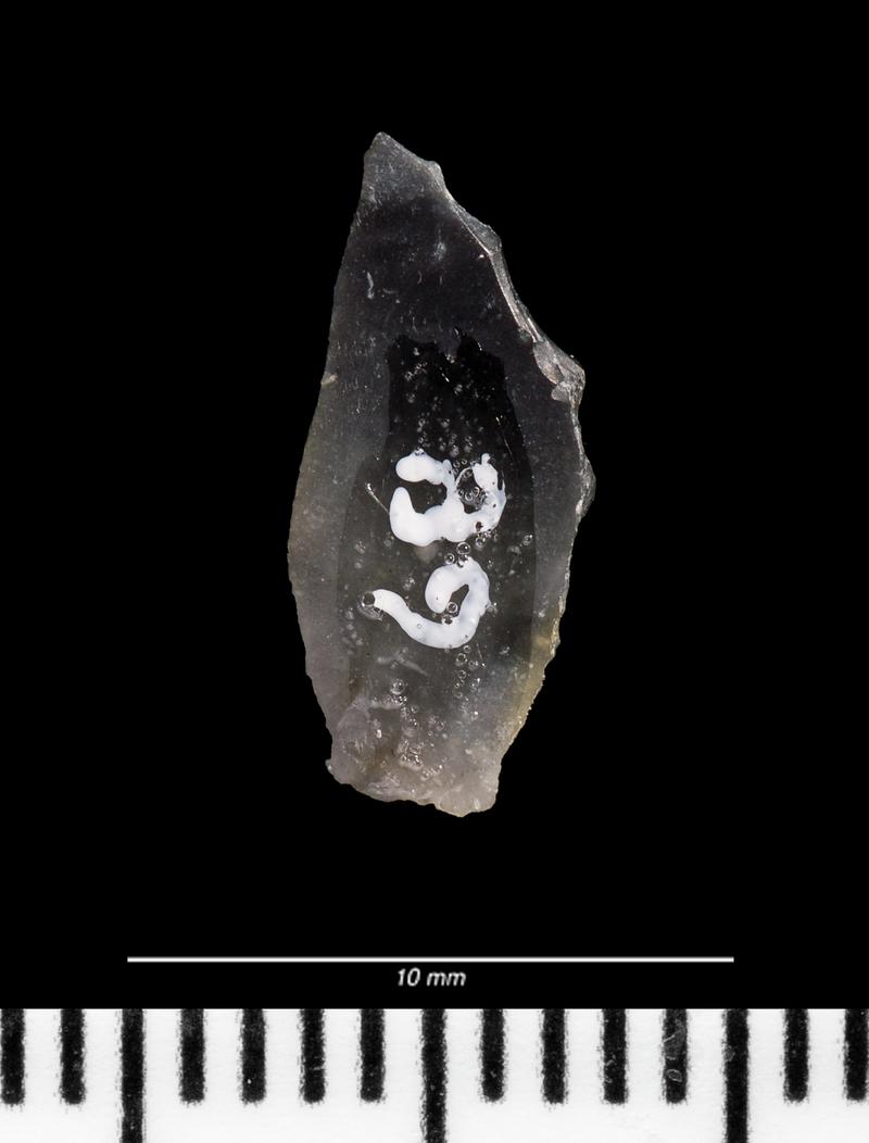 Mesolithic flint microlith