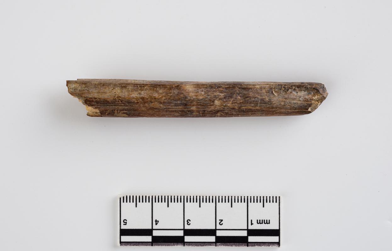 Upper Palaeolithic bone point