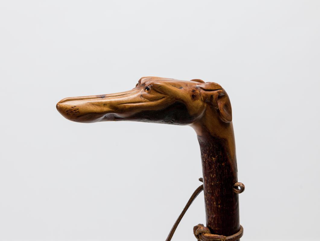 Walking stick