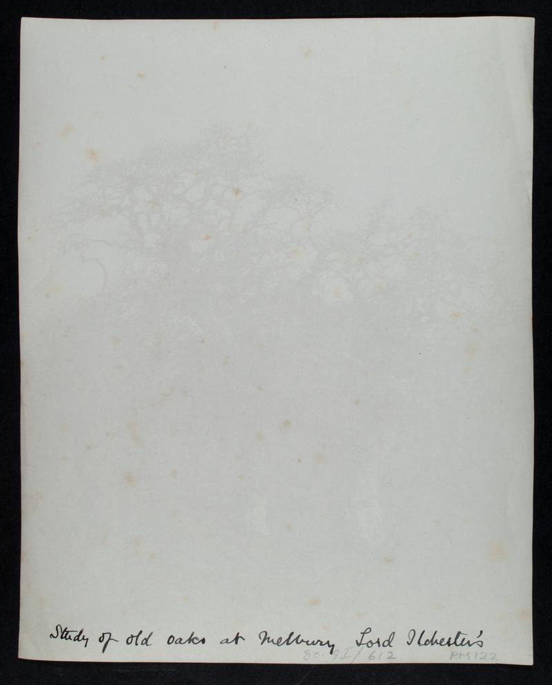 Melbury park, photograph