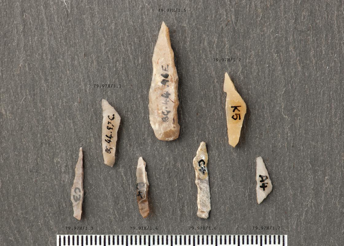 Late Mesolithic flint microlith [group shot with title]