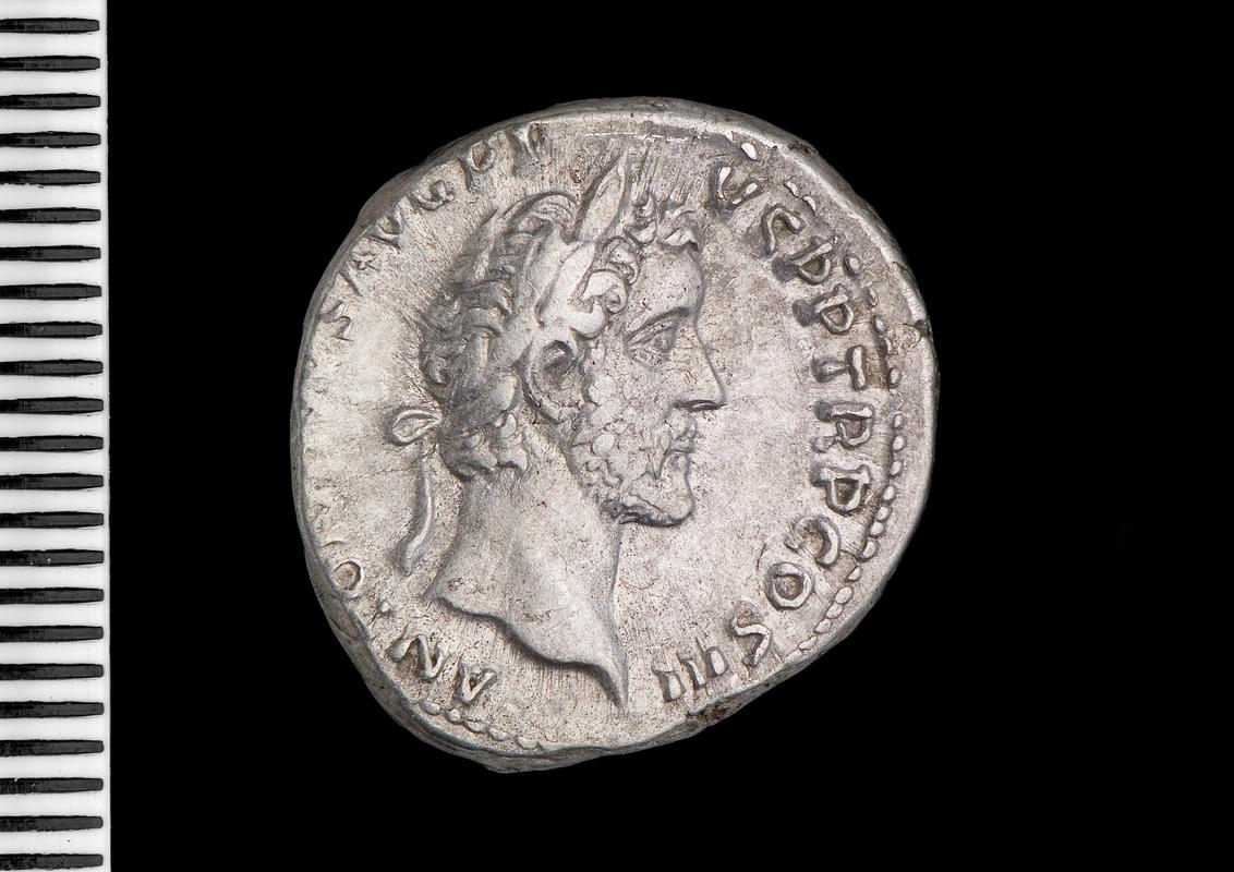 silver denarius (obv.)