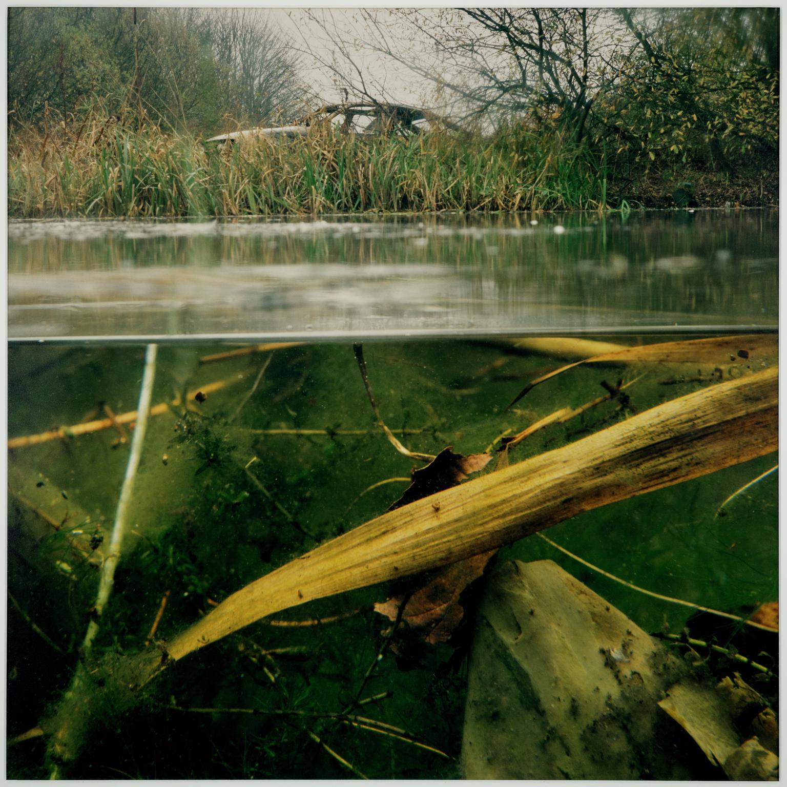 Untitled (from the series Water Level) 9