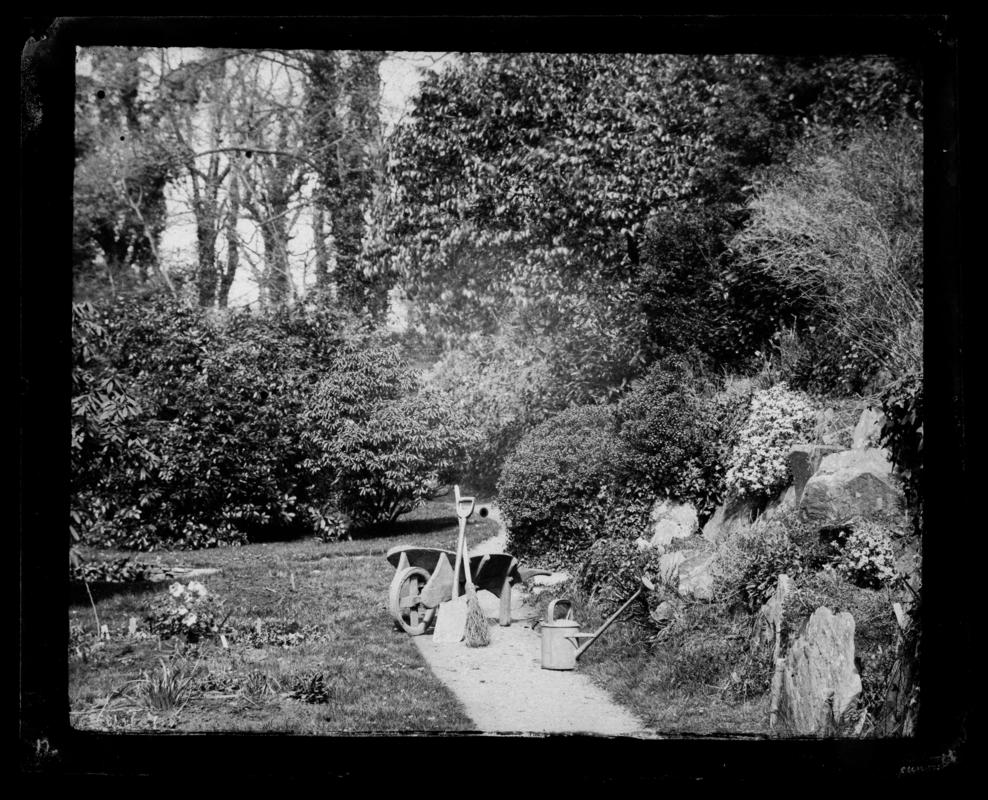 Penllergare, garden, negative