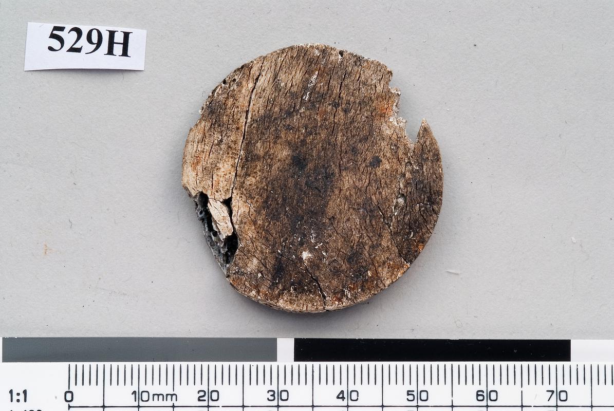 Medieval bone counter