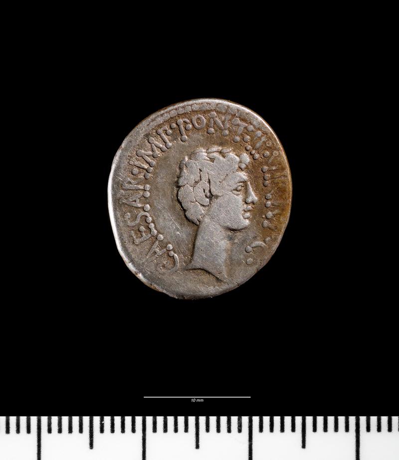 Denarius  - Mark Antony (obv.)