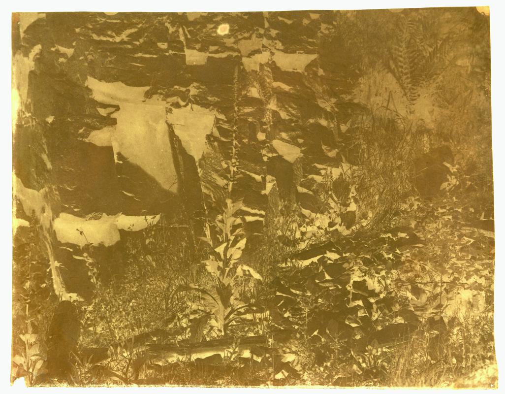 Paper negative