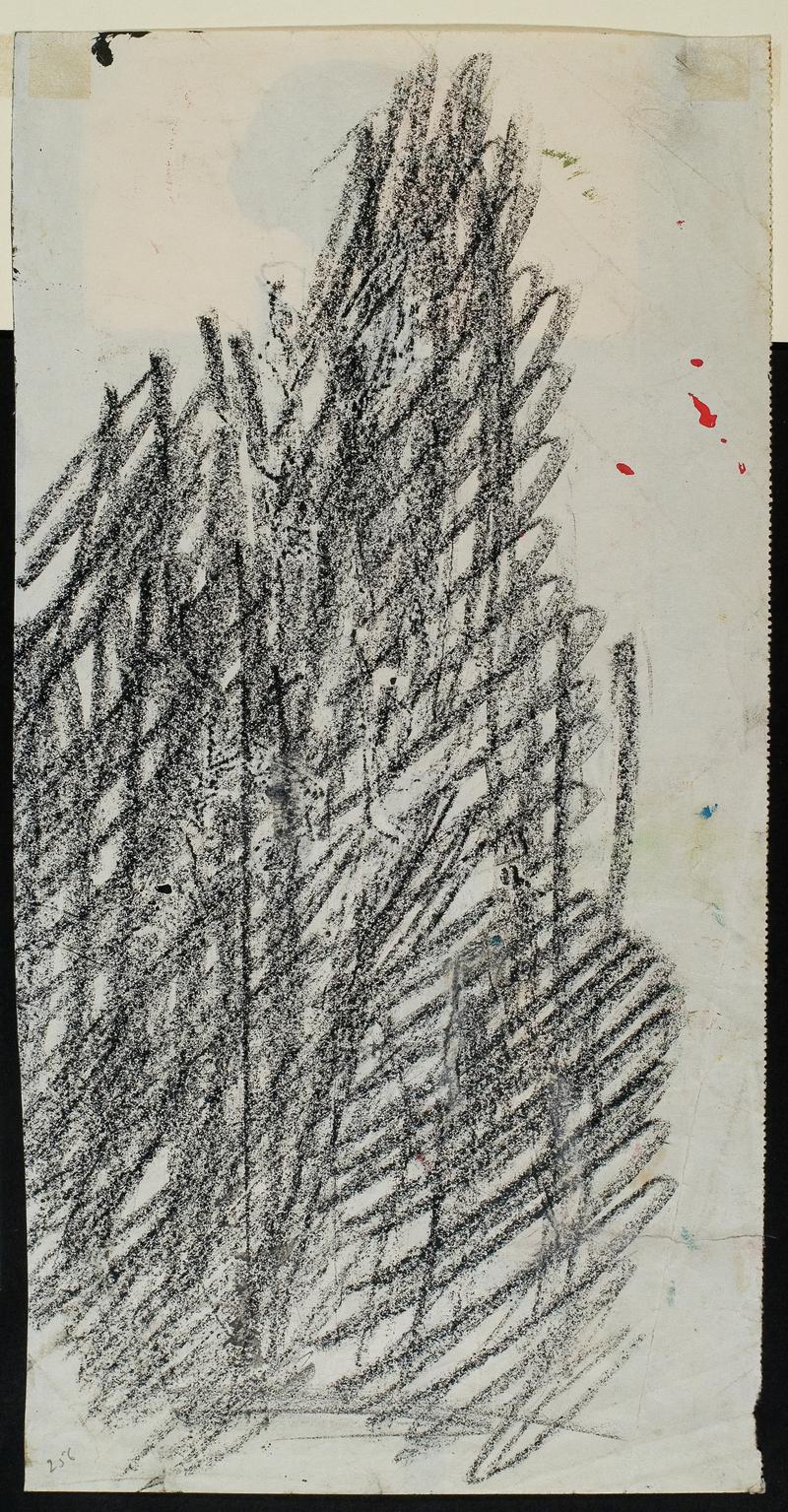 Study of banana plant