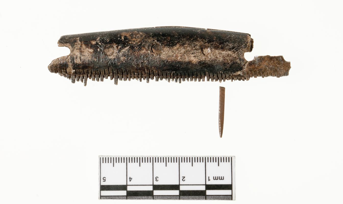 Early Medieval bone comb