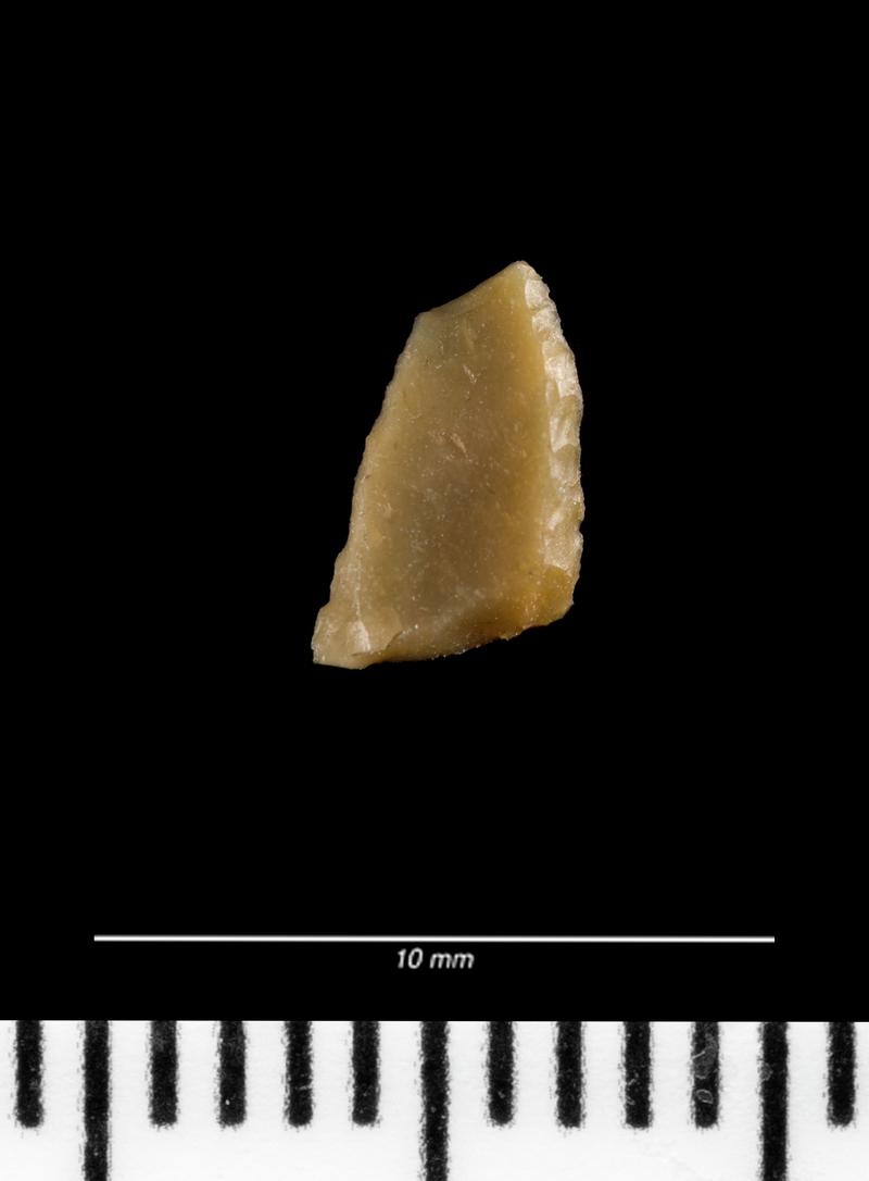 Mesolithic flint microlith