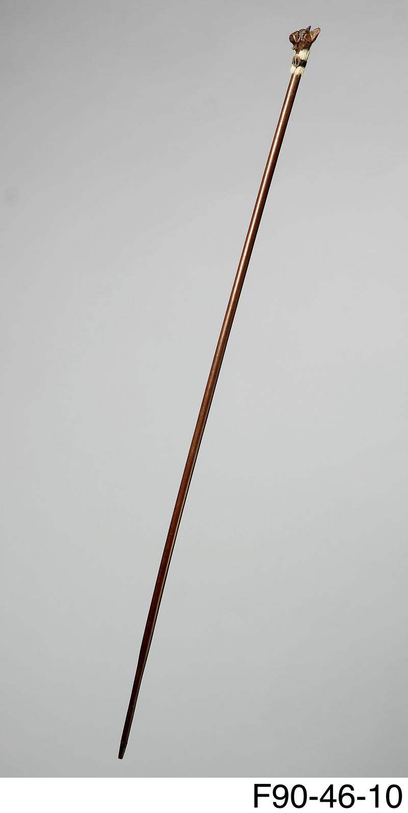 Walking stick