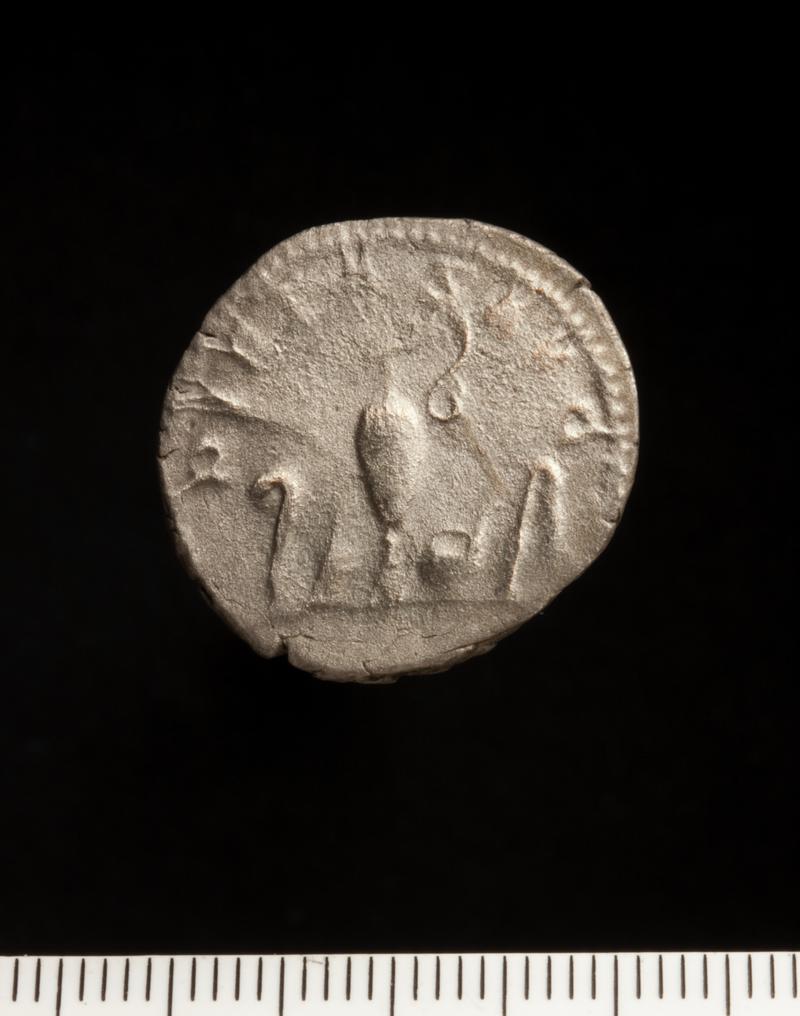 Sully Hoard I (1899)