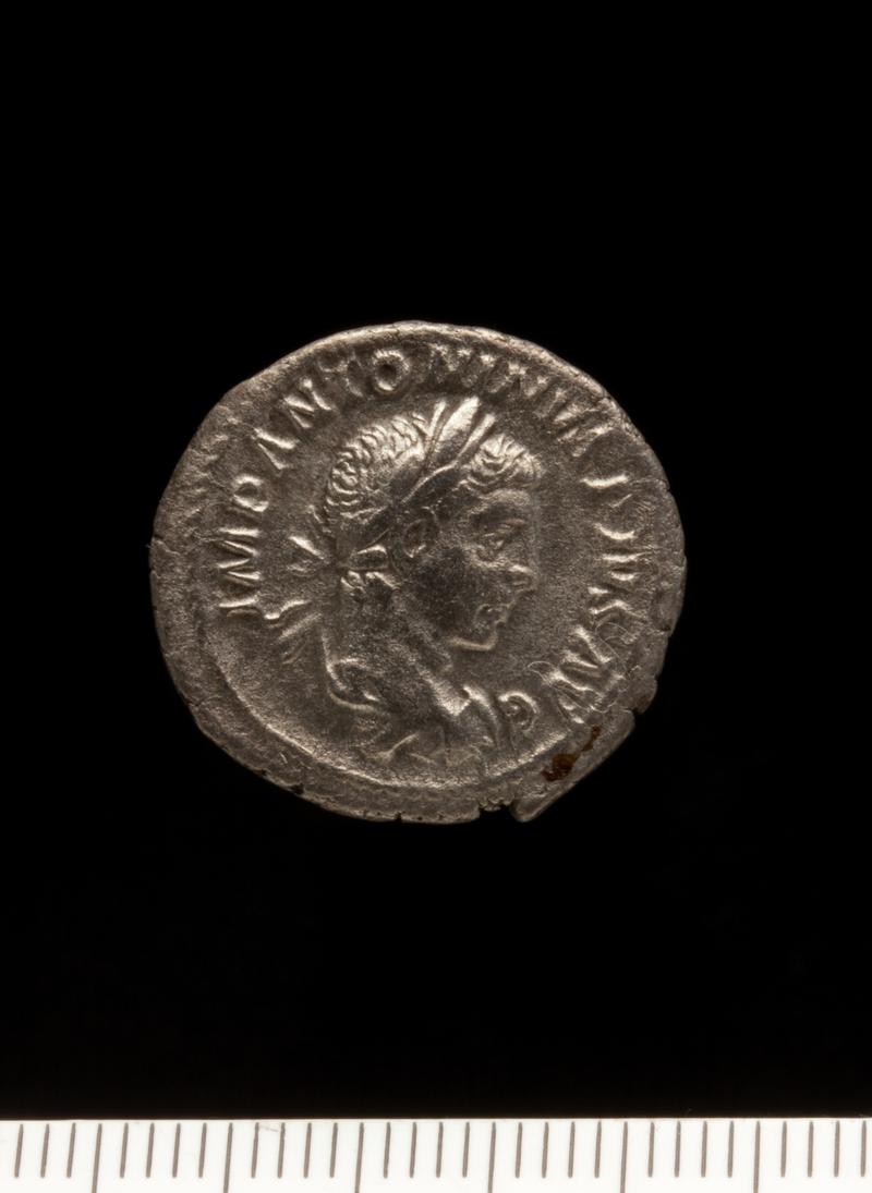 Sully Hoard I (1899) Denarius Elagabalus