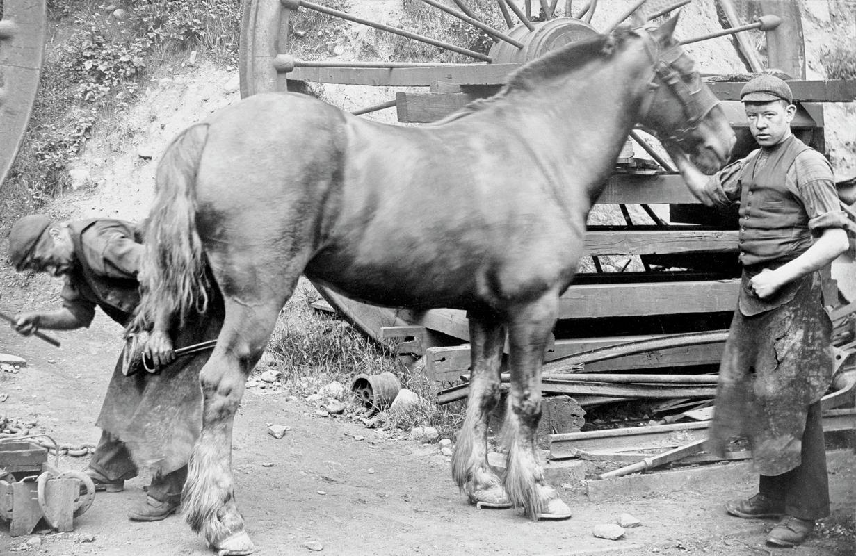 Blacksmith shoeing horse at Lewis Merthyr Colliery