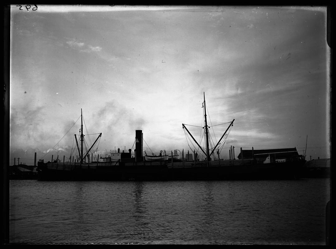 Port broadside view of S.S. ARNE at Cardiff Docks, c.1936