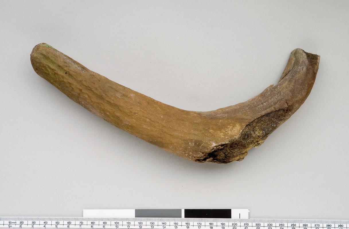 Early Bronze Age antler pick