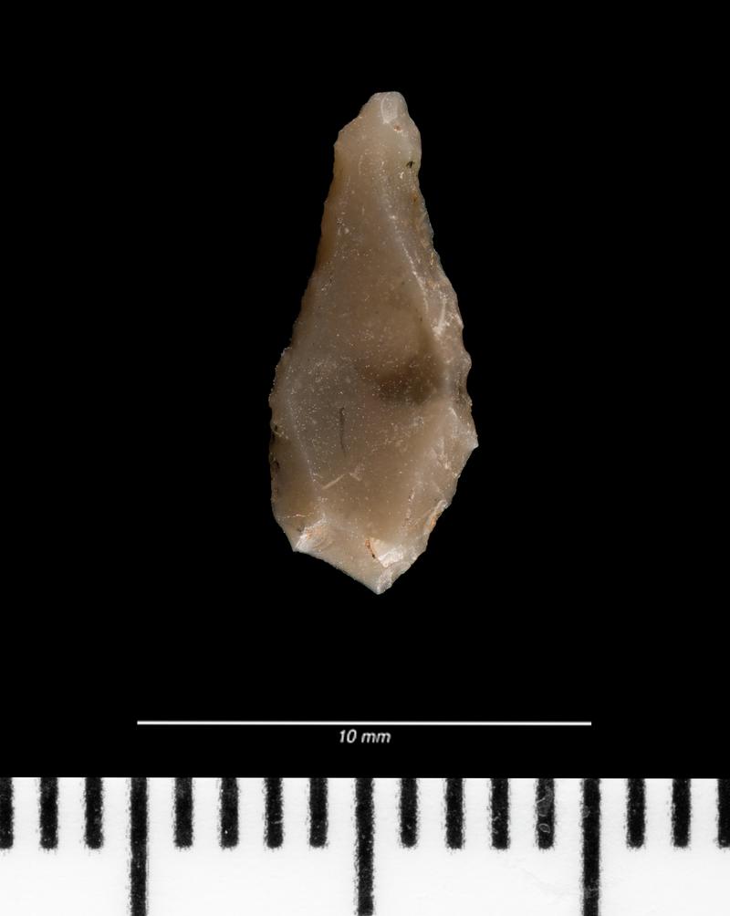 Mesolithic flint microlith