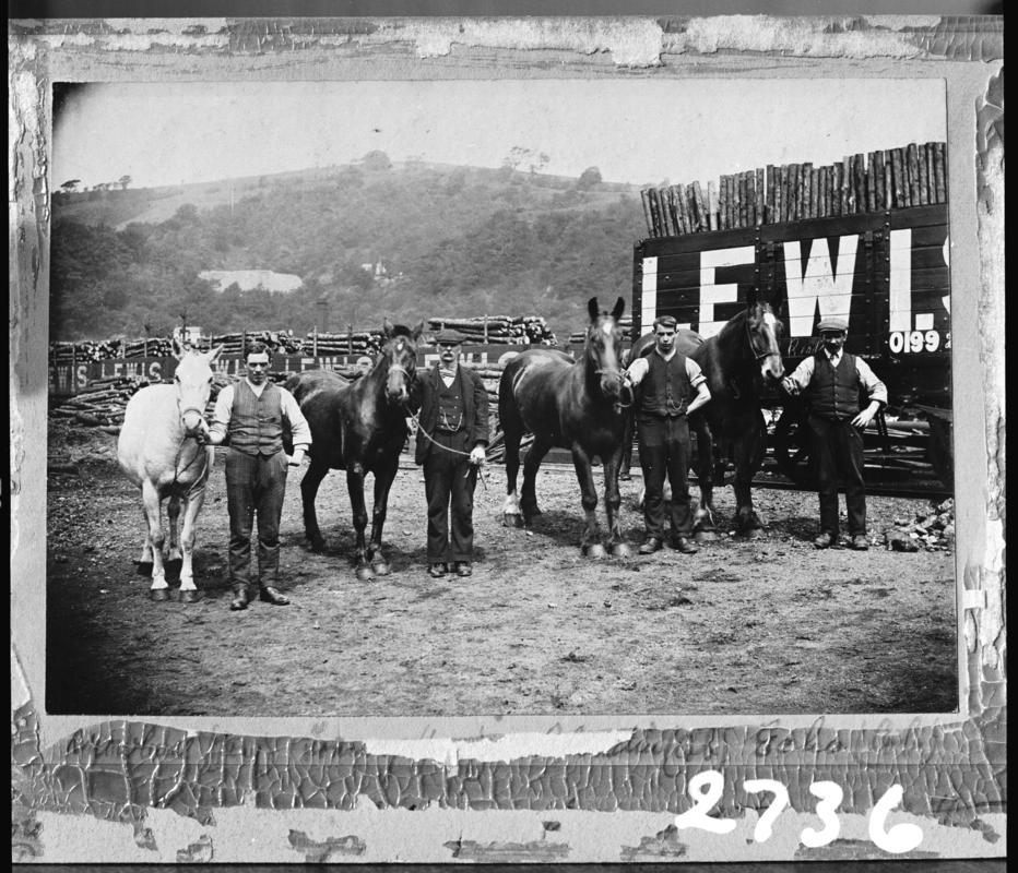 Black and white film negative of a photograph showing a group of ponies and cobs in the yard of Lewis Merthyr Colliery, 1909.