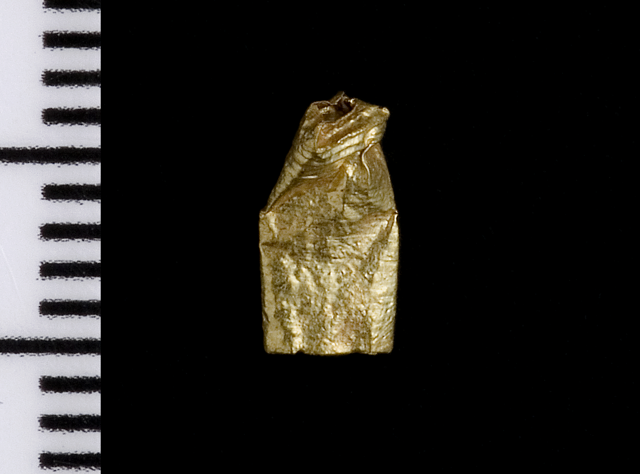 Roman gold pin
