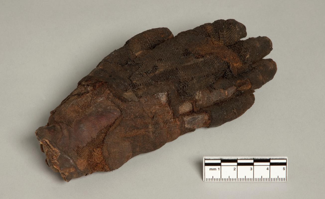 Egyptian human remains