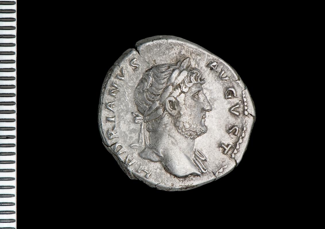 silver denarius (obv.)