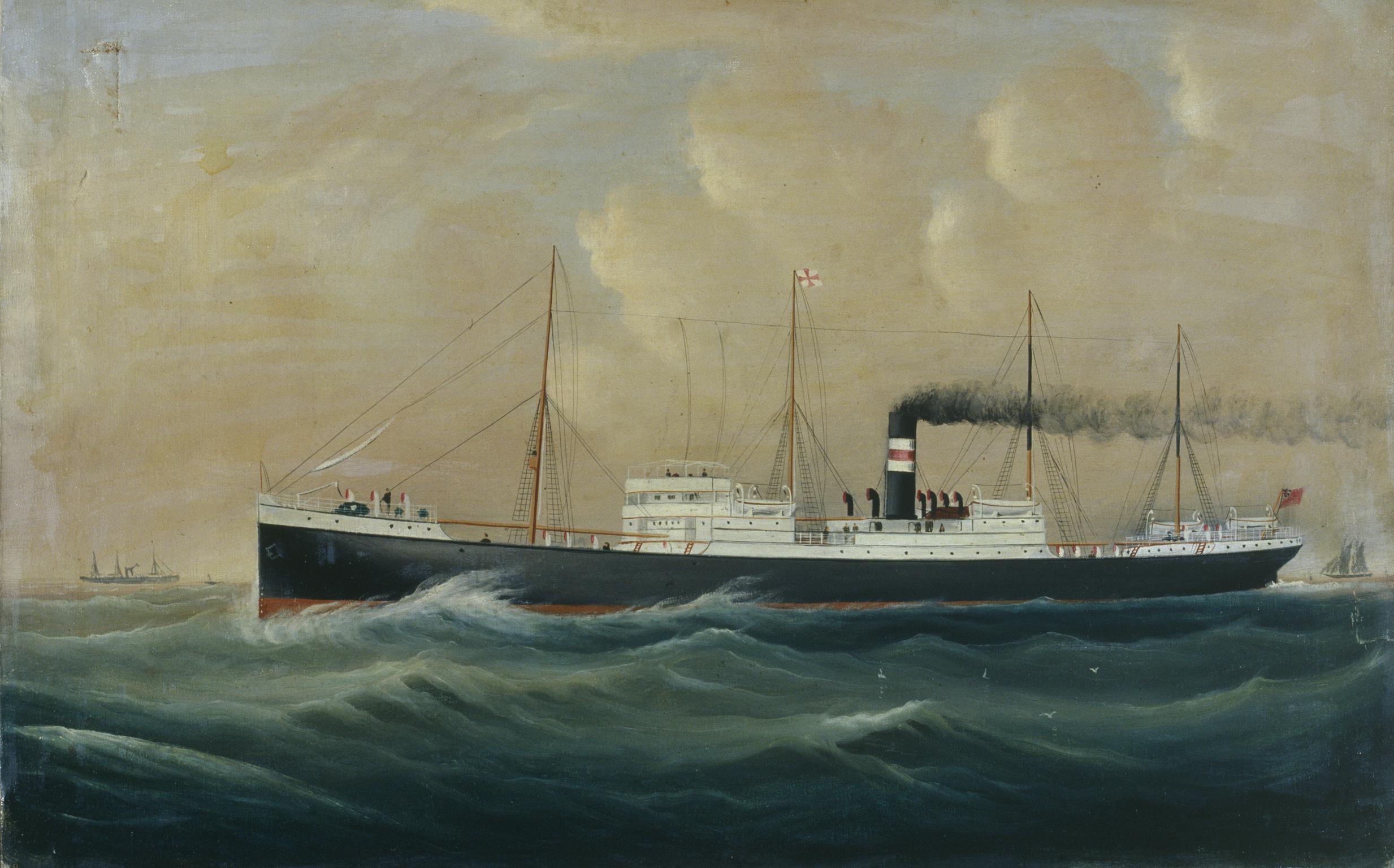 Unidentified steamer of the Harrison Line, paint