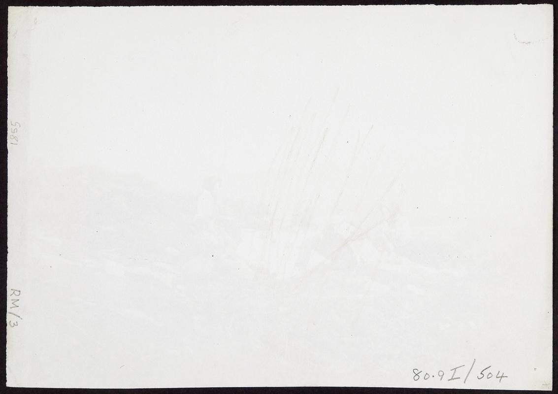 Picnic on Goppa (photograph)