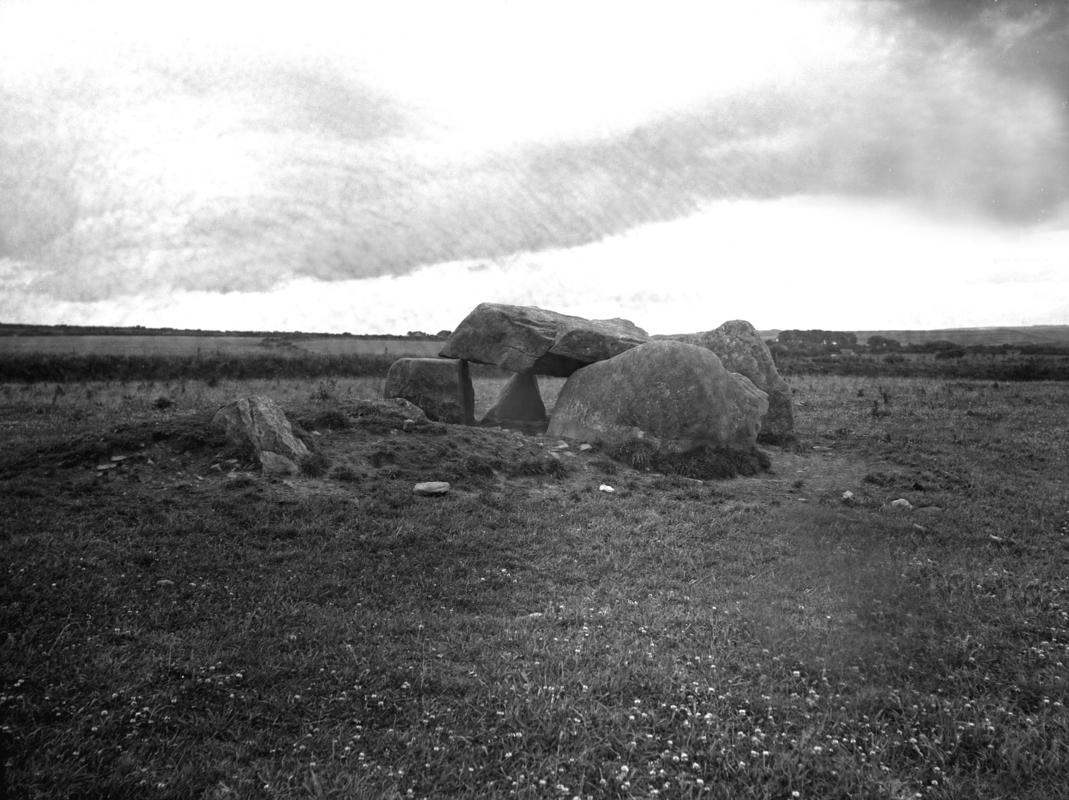 Photographic Negative