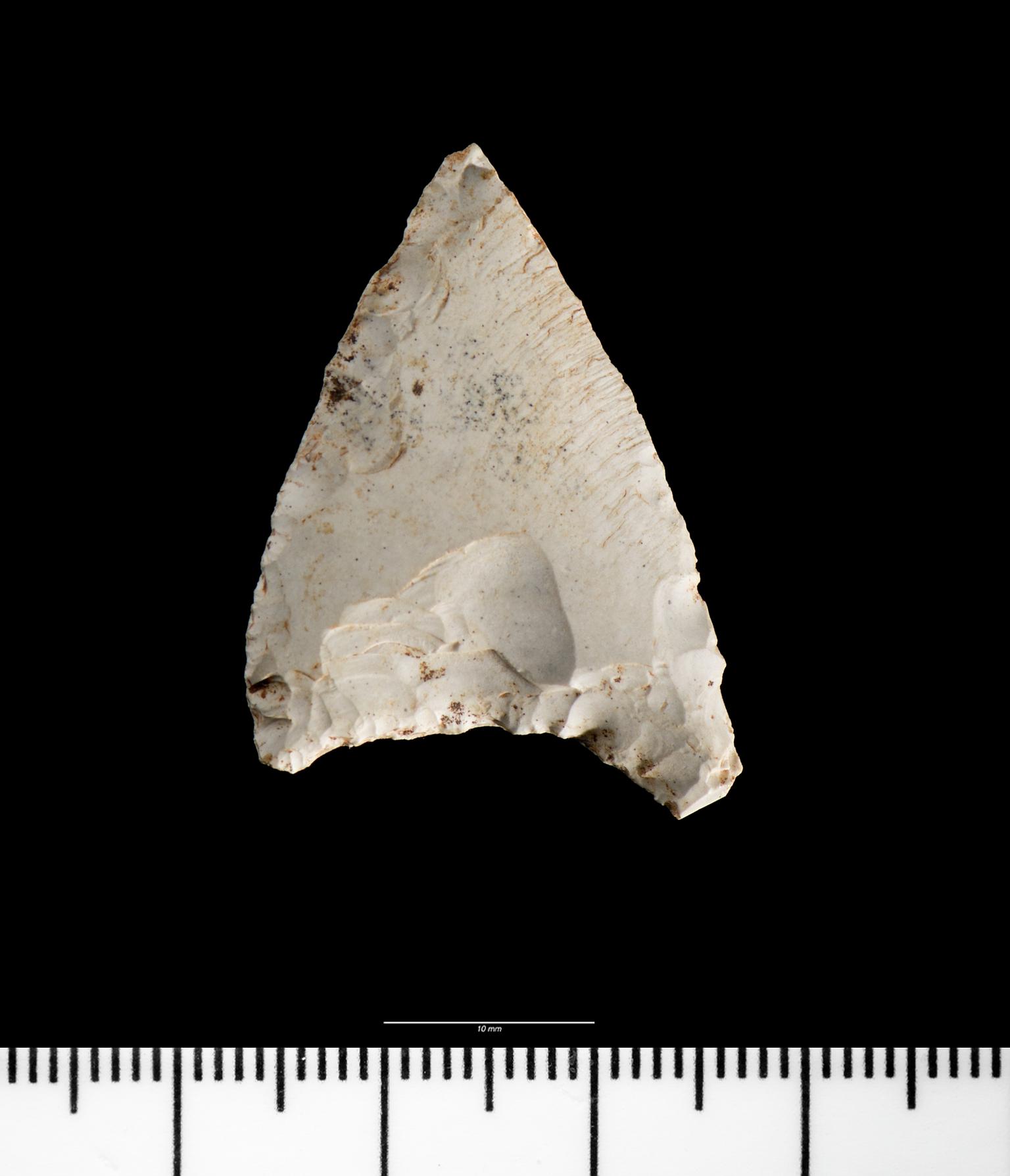 Neolithic flint oblique arrowhead