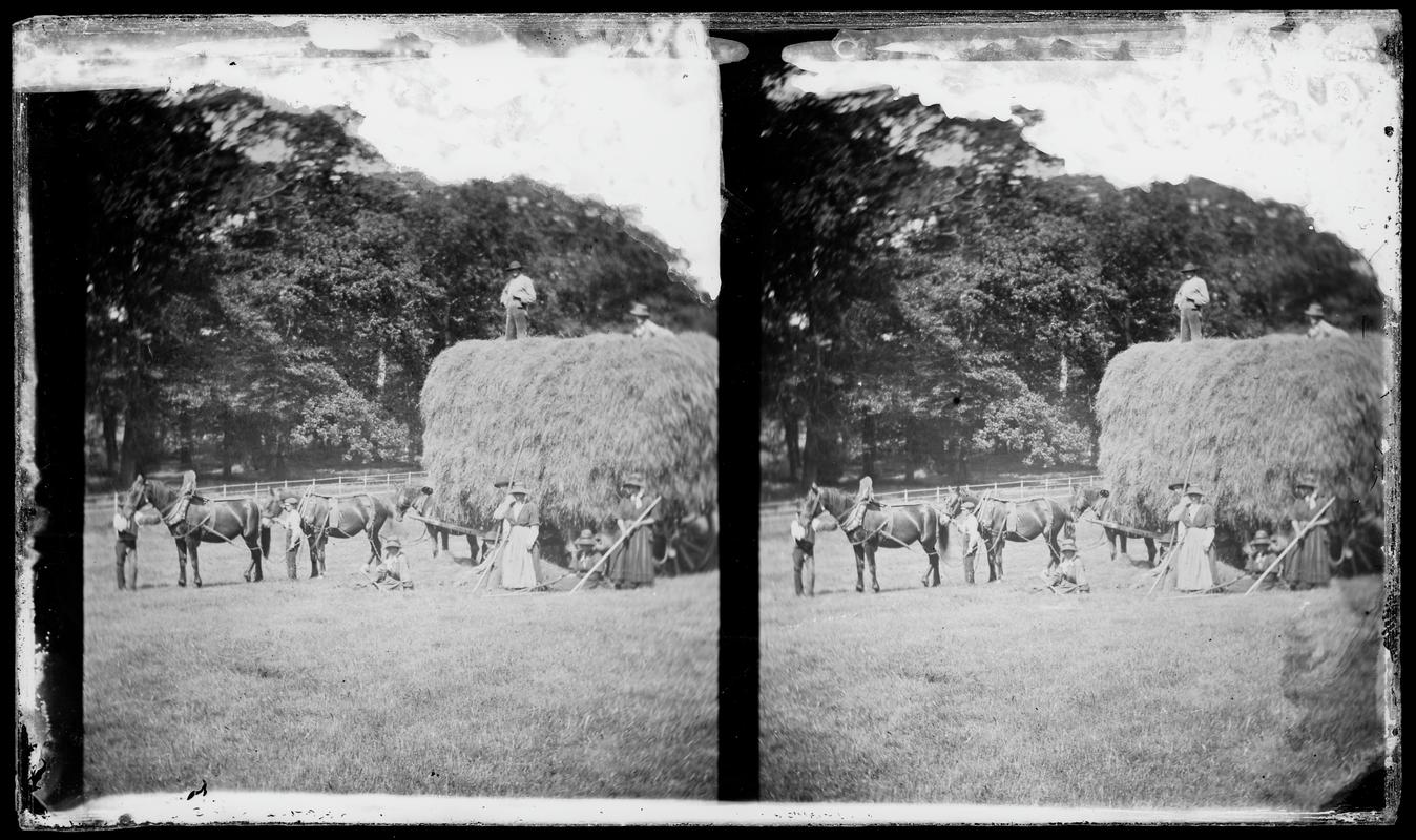 haymakers, glass negative