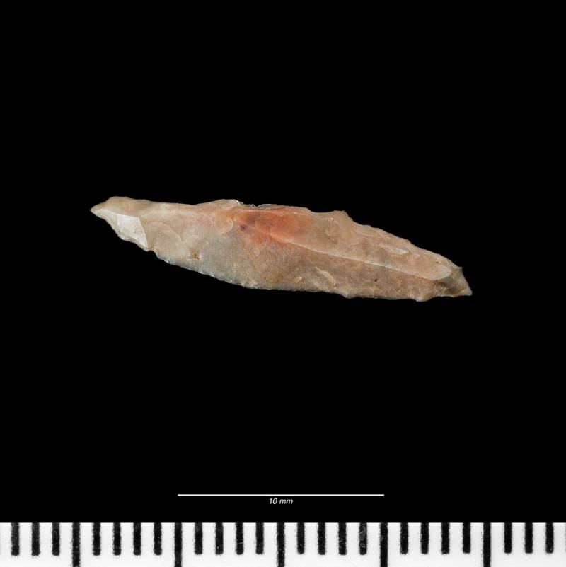 Mesolithic flint microlith from Gwernvale