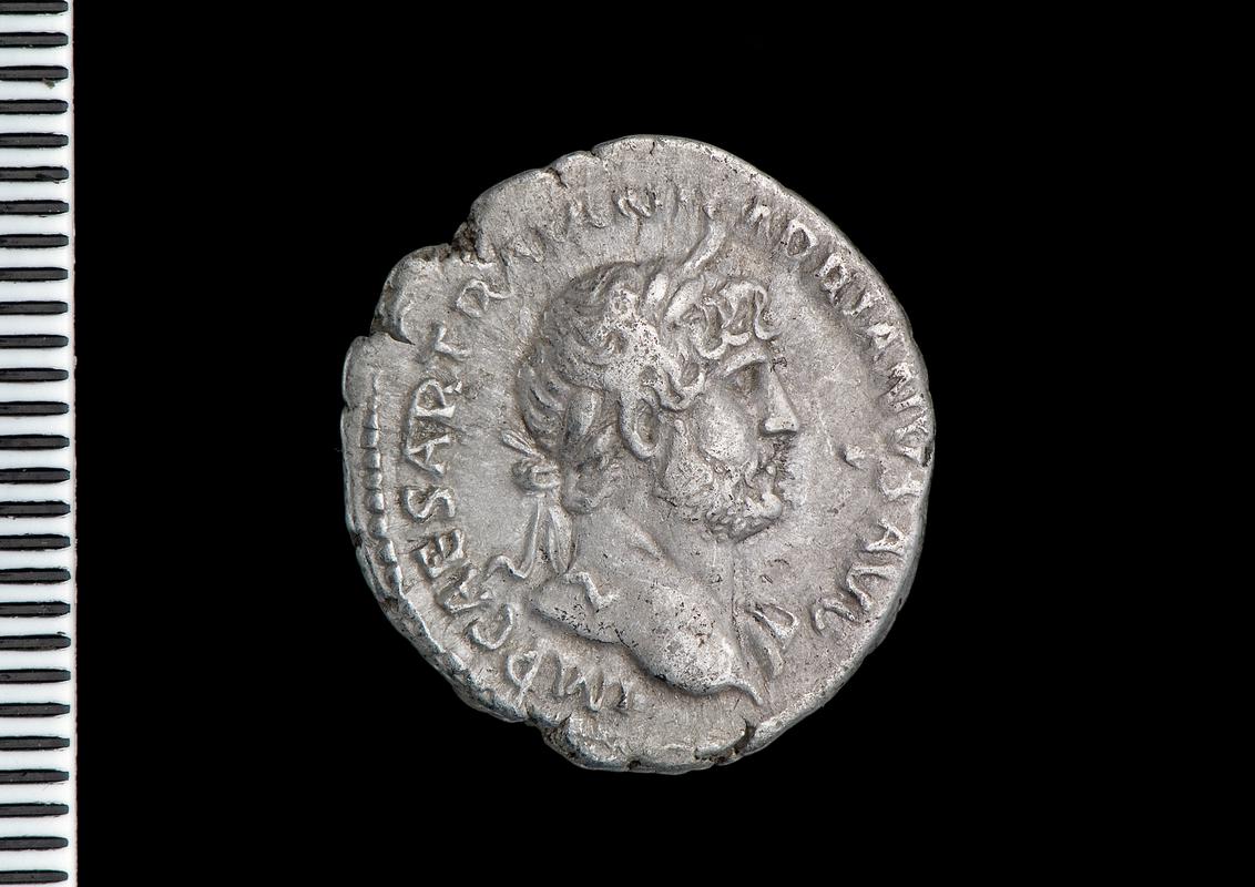 silver denarius (obv.)