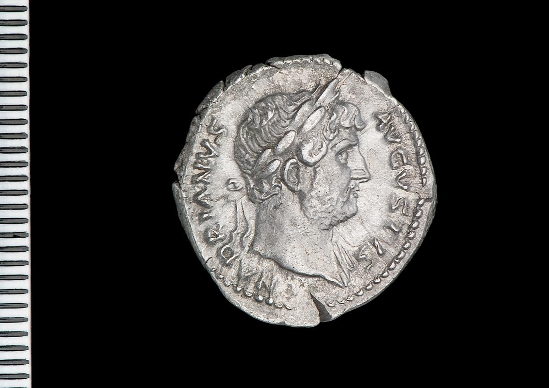 silver denarius (obv.)