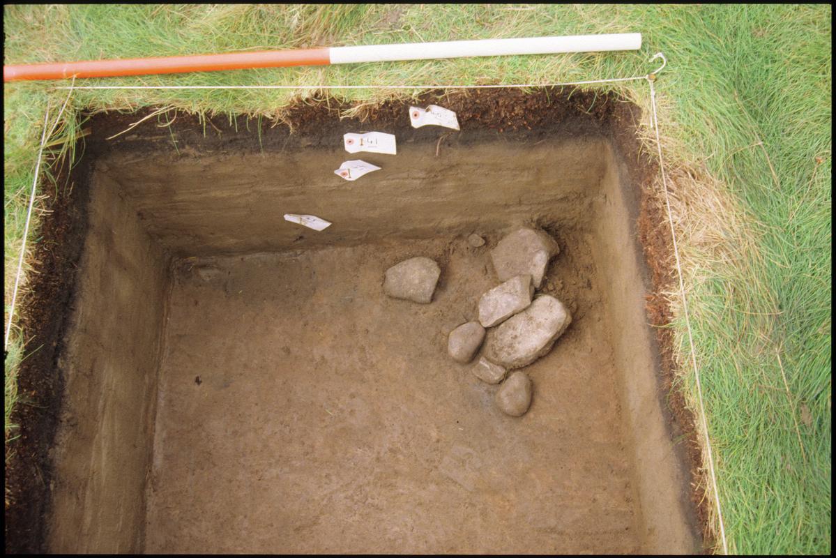 Burry Holms, Gower. 1999 Test Pit 3C. Stone feature context 45 on top of layer 44.