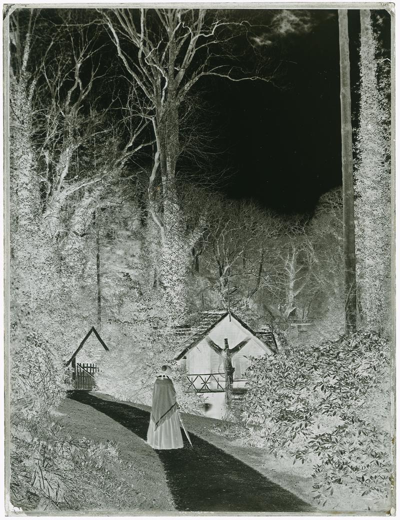 Penllergare, shanty on upper lake, glass negative