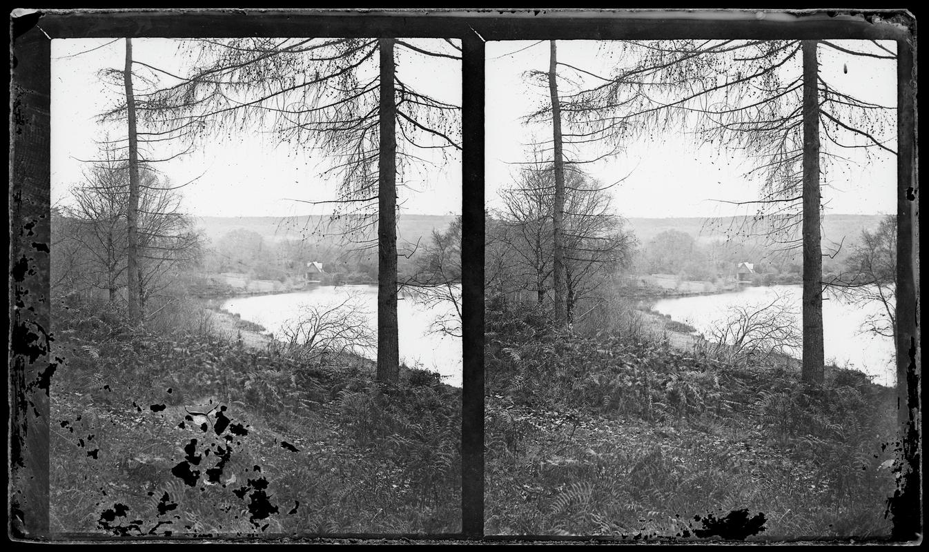 Penllergare, lower lake, glass negative