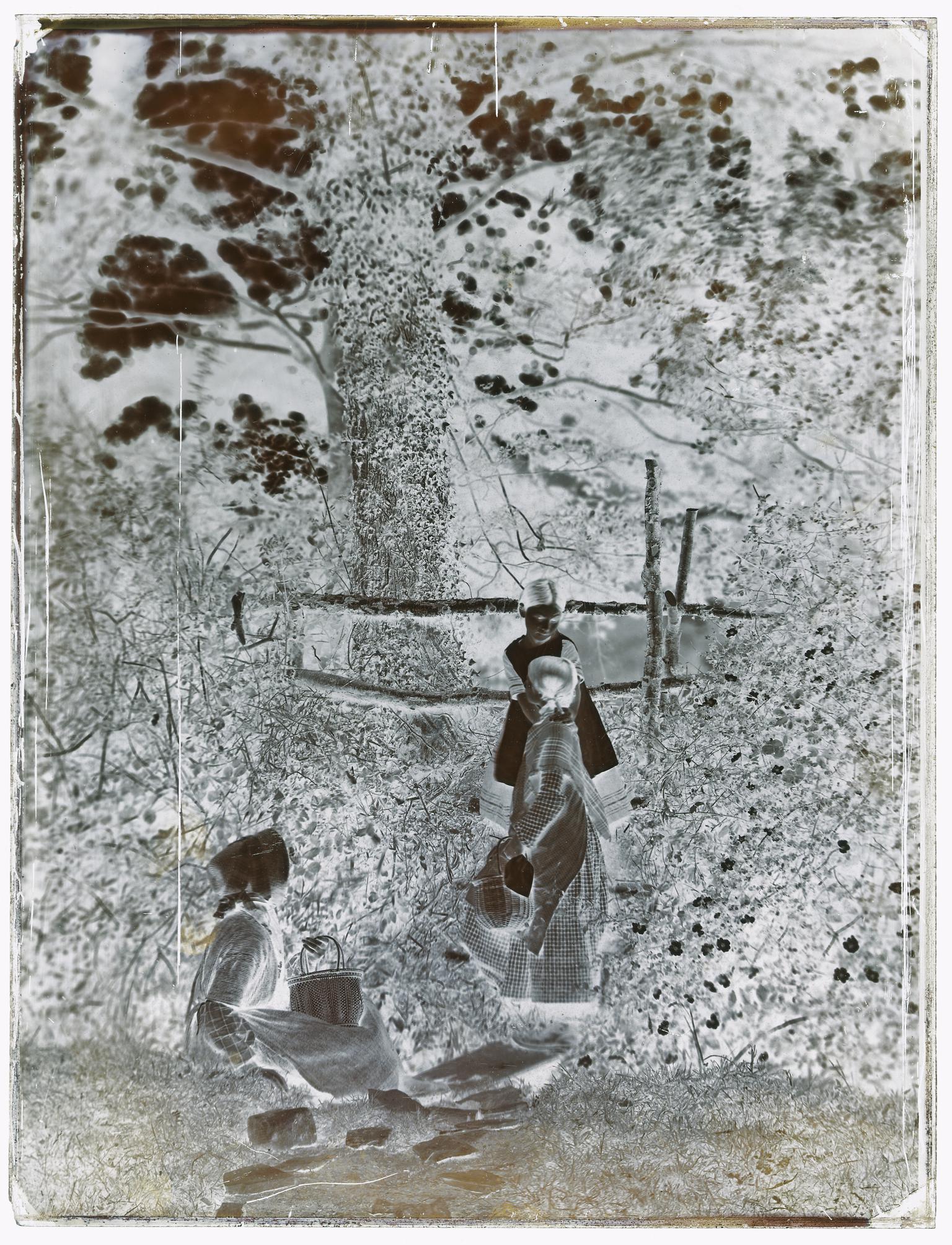 School children at Penllergare, glass negative